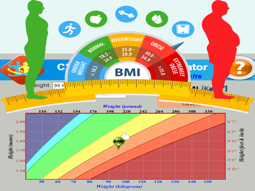 BMI Simulator