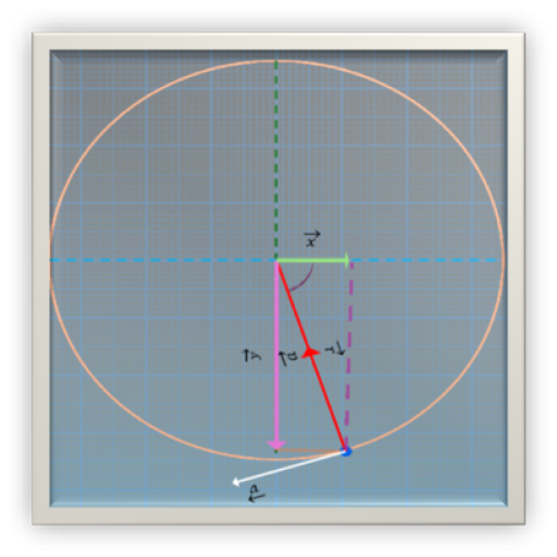 Uniform Circular Motion Simulation